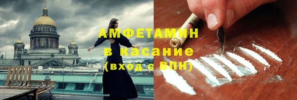 сатива Гвардейск