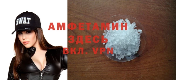 СК Гатчина