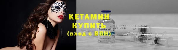 сатива Гвардейск