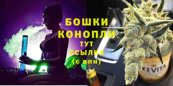 сатива Гвардейск