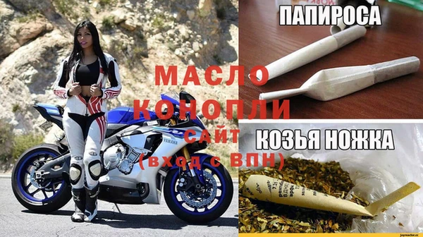 индика Ессентукская