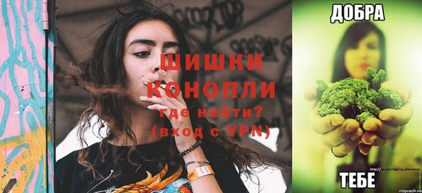 индика Ессентукская
