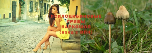 2c-b Кущёвская