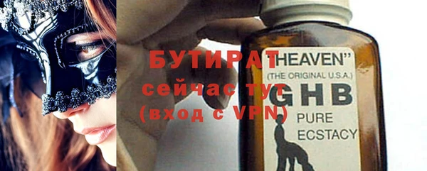 сатива Гвардейск