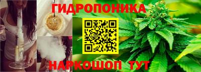 СК Краснокаменск