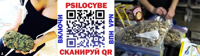 Галлюциногенные грибы мицелий  Санкт-Петербург 