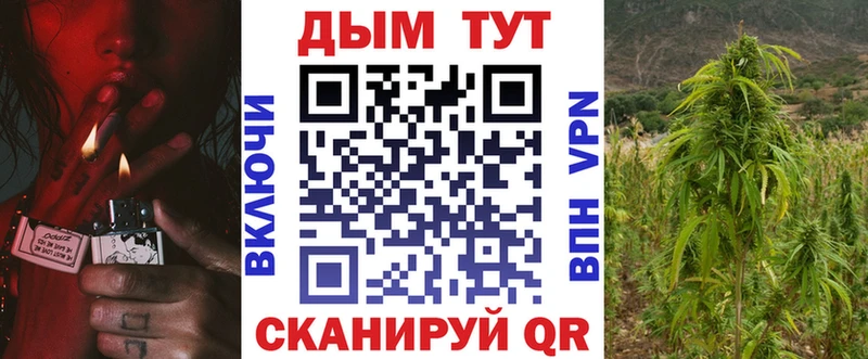 цены   Санкт-Петербург  Канабис AK-47 